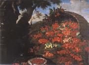 Bartolomeo Bimbi Cherries oil painting